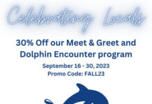 Marineland Dolphin Adventure Offers Limited Time Big Adventure Discount September 16-30