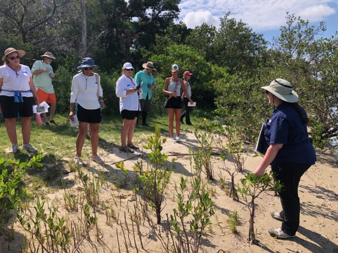 Learning about estuarine plants and living shorelines at Washington Oaks