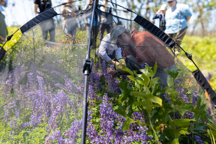 54469672595_4a01e5d40d_k