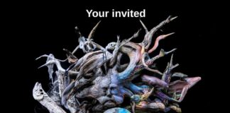 Baliker Gallery Opens Doors for Weekend Shows in the Hammock