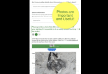 FWC Invites Public to Help Monitor Bird Health with Reporting App