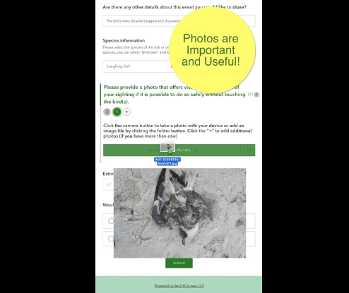 FWC Avian Health App