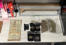 Deltona Man Arrested on Felony Drug Charges Following Traffic Stop; Drugs, Cash and Vehicle Seized