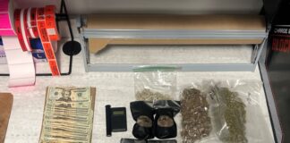 Deltona Man Arrested on Felony Drug Charges Following Traffic Stop; Drugs, Cash and Vehicle Seized