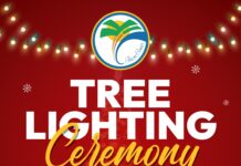 Palm Coast Tree Lighting Ceremony Returns to Central Park this Saturday, November 29