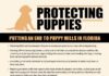 Governor Ron DeSantis Announces Proposal to Protect Puppies in Florida