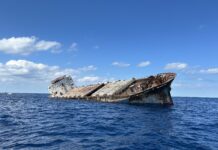 FWC Sinks 227-foot Freight Vessel to Build New Marine Habitat