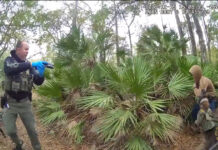 FCSO: K-9 ‘Takes a Bite Out of Crime,’ Stolen Vehicle Recovered