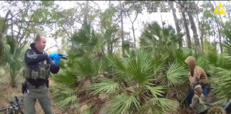 FCSO: K-9 ‘Takes a Bite Out of Crime,’ Stolen Vehicle Recovered