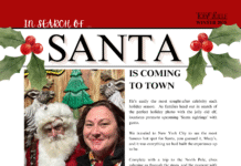 Top Shelf: Keeping the Christmas Spirit Alive Santa Style