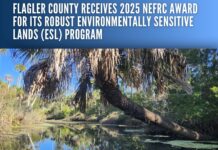Flagler County Receives 2025 NEFRC Award Robust Environmentally Sensitive Lands (ESL) Program