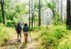 Start 2026 on the Right Foot with First Day Hikes at Florida State Parks