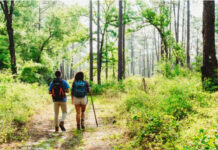 Start 2026 on the Right Foot with First Day Hikes at Florida State Parks