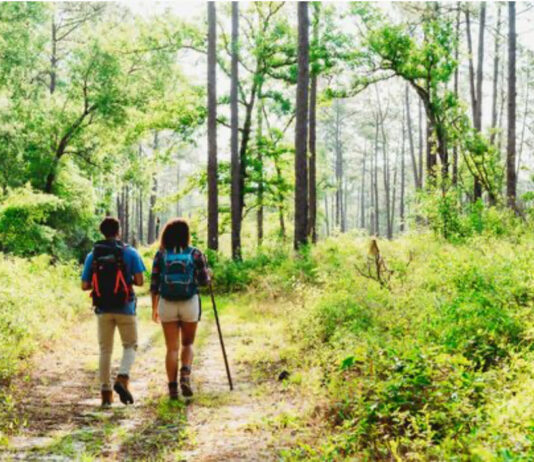 Start 2026 on the Right Foot with First Day Hikes at Florida State Parks