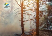 Flagler County Extends Burn Ban Another 7 Days Amid Persistent Dry Conditions and Wildfire Risk