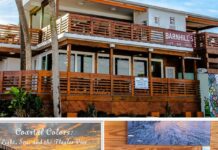 Coastal Colors Come to Life: Lori Vetter Opens New Exhibit at Barnhill’s