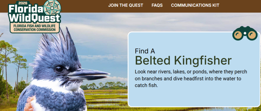 FWC Florida WildQuest