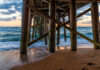Flagler Schools Recognized for Ocean Conservation Education by Guy Harvey Foundation
