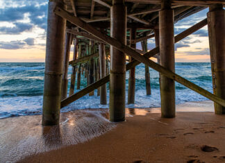 Flagler Schools Recognized for Ocean Conservation Education by Guy Harvey Foundation