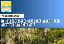 DOH-Flagler Issues Blue Green Algae Health Alert for Haw Creek Area