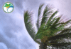 City of Palm Coast Encourages Residents to Prepare During Hurricane Preparedness Week