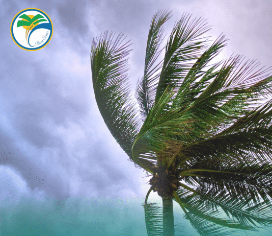 City of Palm Coast Encourages Residents to Prepare During Hurricane Preparedness Week