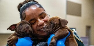 A New Leash on Life: FCSO’s SMART Program Welcomes 11 Puppies to Jail