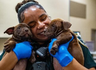 A New Leash on Life: FCSO’s SMART Program Welcomes 11 Puppies to Jail