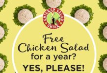 FREE Chicken Salad for a Year at Chicken Salad Chick of Palm Coast Grand Opening on June 2