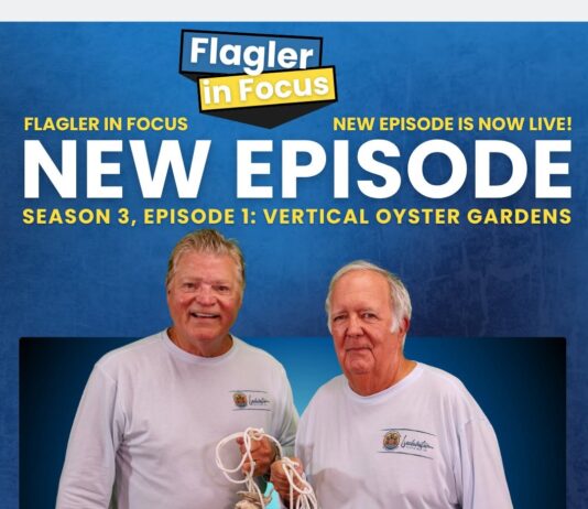 Restoring the Intracoastal One Oyster at a Time: Community Effort Expands Across Flagler County