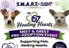 SMART to Host Pre-Adoption Meet & Greet This Saturday at the Flagler County Fairgrounds