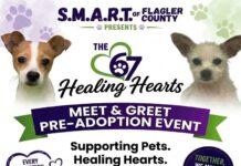 SMART to Host Pre-Adoption Meet & Greet This Saturday at the Flagler County Fairgrounds