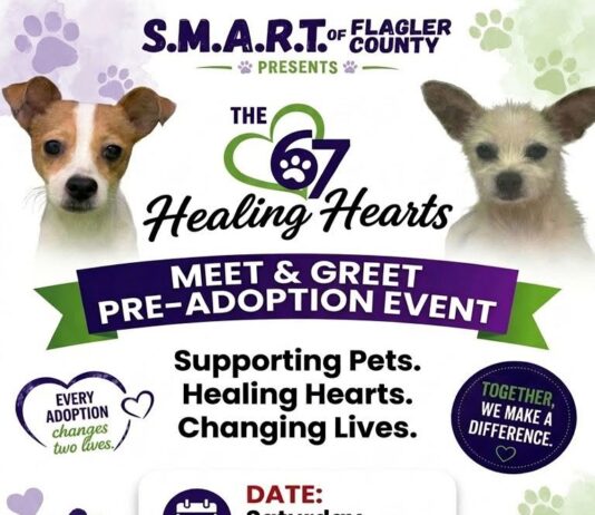 SMART to Host Pre-Adoption Meet & Greet This Saturday at the Flagler County Fairgrounds