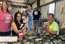 From Fear to Forever: SMART’s Rescue Dogs Take Their First Steps Toward Home