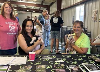 From Fear to Forever: SMART’s Rescue Dogs Take Their First Steps Toward Home