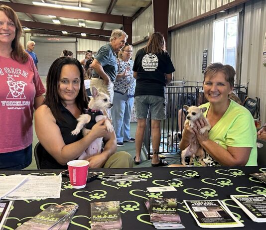From Fear to Forever: SMART’s Rescue Dogs Take Their First Steps Toward Home