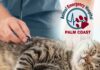 Animal Emergency Hospital Palm Coast Celebrates Grand Opening of New Advanced Care Facility
