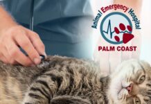 Animal Emergency Hospital Palm Coast Celebrates Grand Opening of New Advanced Care Facility