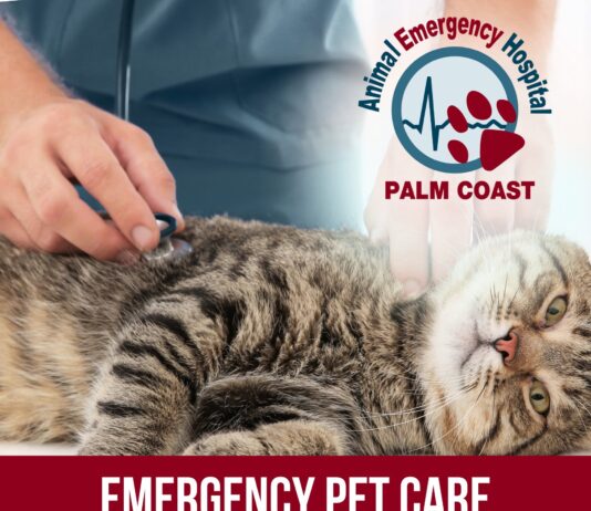 Animal Emergency Hospital Palm Coast Celebrates Grand Opening of New Advanced Care Facility