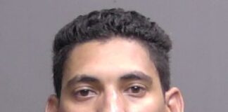 FCSO: “See Something, Say Something” Leads to Arrests After Dogs and Pigeons Found Suffering In A 102-Degree U-Haul Truck