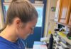 Fall Applications Open for Sea Turtle Hospital Internship at UF Whitney Laboratory