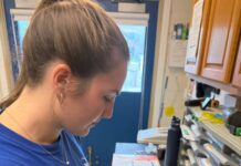 Fall Applications Open for Sea Turtle Hospital Internship at UF Whitney Laboratory