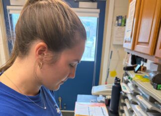 Fall Applications Open for Sea Turtle Hospital Internship at UF Whitney Laboratory