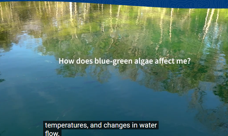 blue green