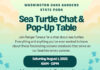 Learn About Sea Turtles During Free Ranger Chat at Washington Oaks Gardens State Park