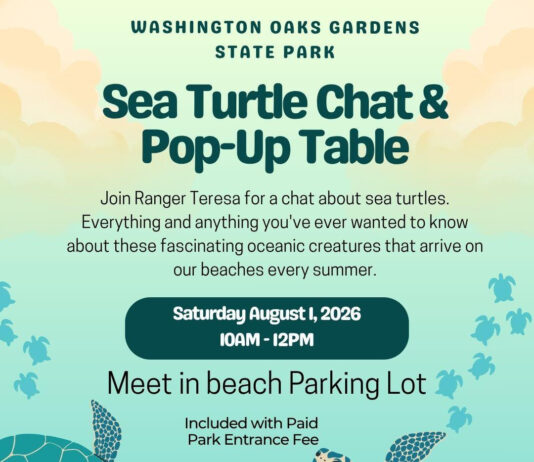Learn About Sea Turtles During Free Ranger Chat at Washington Oaks Gardens State Park