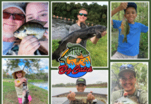 FWC Invites Anglers to Celebrate Their Freshwater Catches with Big Catch!