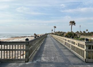 Florida Department of Health-Flagler issues a water quality advisory for River-to-Sea Preserve