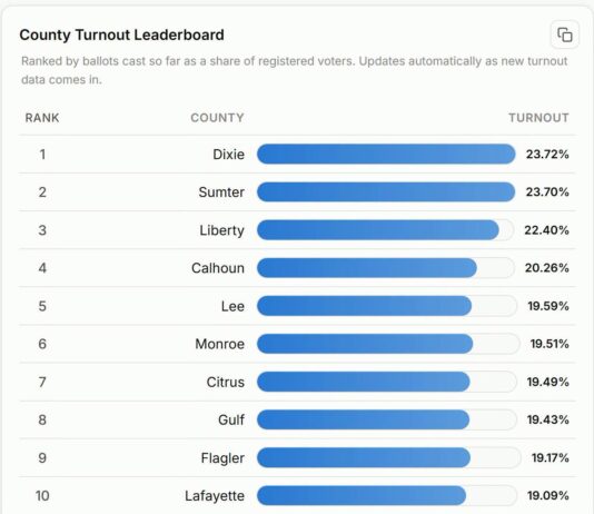 Flagler County Ranks Ninth in Florida for Early Voting Turnout Ahead of Primary Election