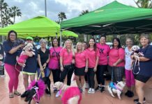 Paws, Pink and Purpose: Pink Army Walks in Remembrance and Hope